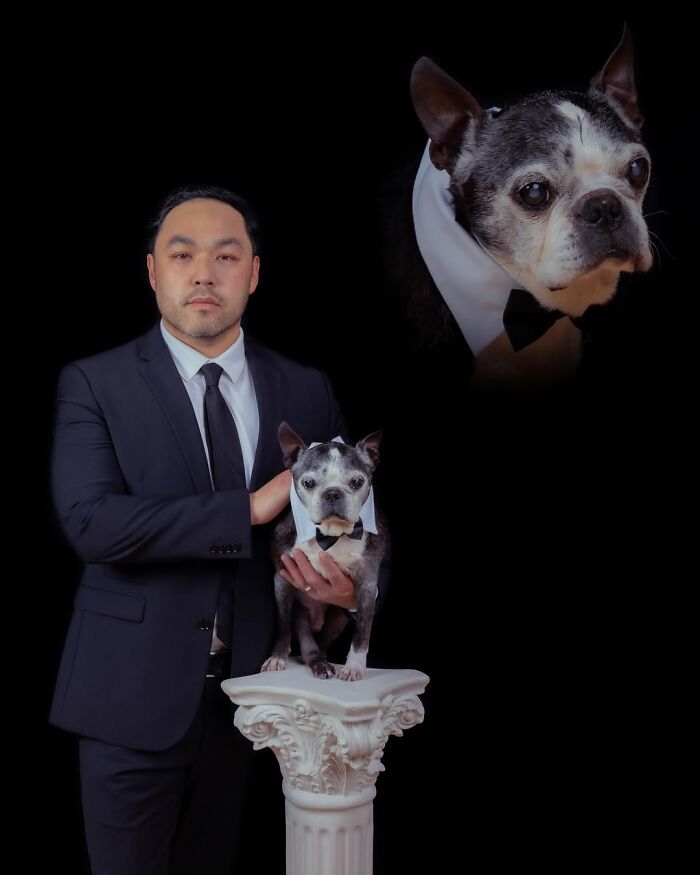 Meet The Pet Photos That Are Weirdly Awesome And Totally Hilarious