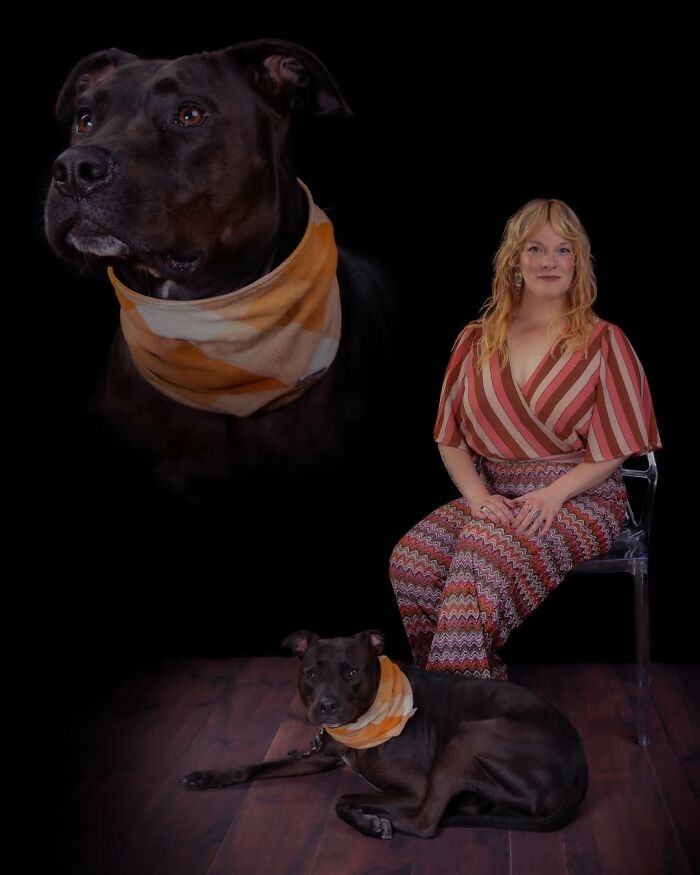 Meet The Pet Photos That Are Weirdly Awesome And Totally Hilarious