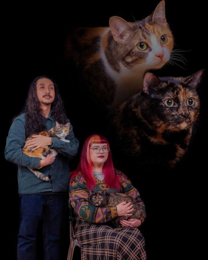 Meet The Pet Photos That Are Weirdly Awesome And Totally Hilarious