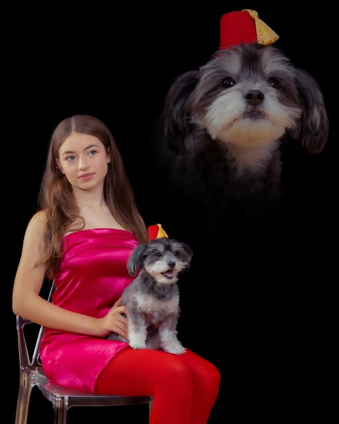 Meet The Pet Photos That Are Weirdly Awesome And Totally Hilarious