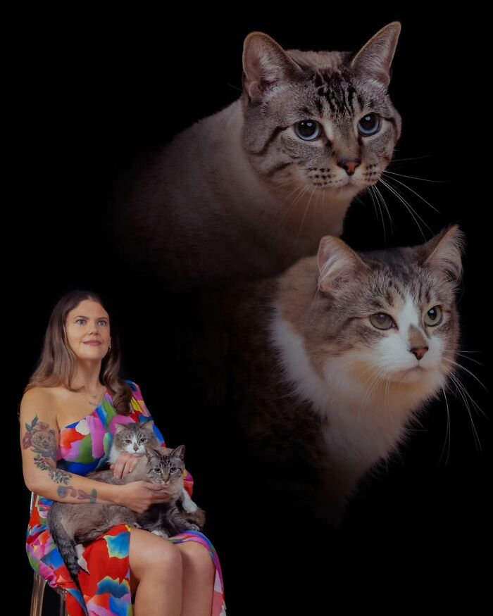 Meet The Pet Photos That Are Weirdly Awesome And Totally Hilarious
