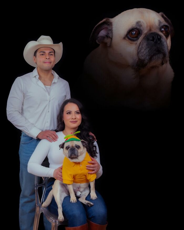 Meet The Pet Photos That Are Weirdly Awesome And Totally Hilarious