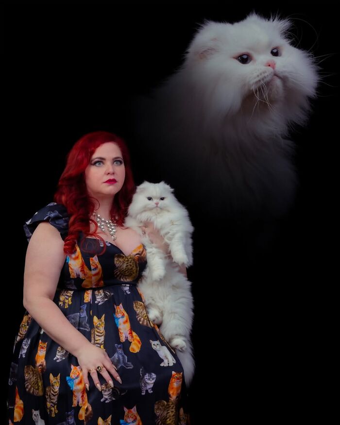 Meet The Pet Photos That Are Weirdly Awesome And Totally Hilarious