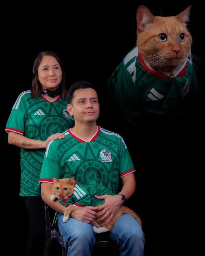 Meet The Pet Photos That Are Weirdly Awesome And Totally Hilarious
