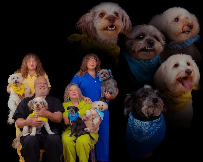 Meet The Pet Photos That Are Weirdly Awesome And Totally Hilarious