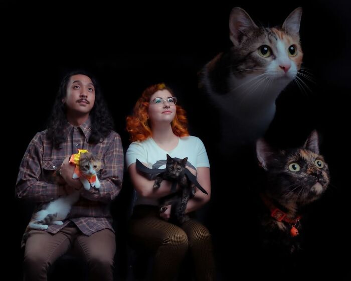 Meet The Pet Photos That Are Weirdly Awesome And Totally Hilarious