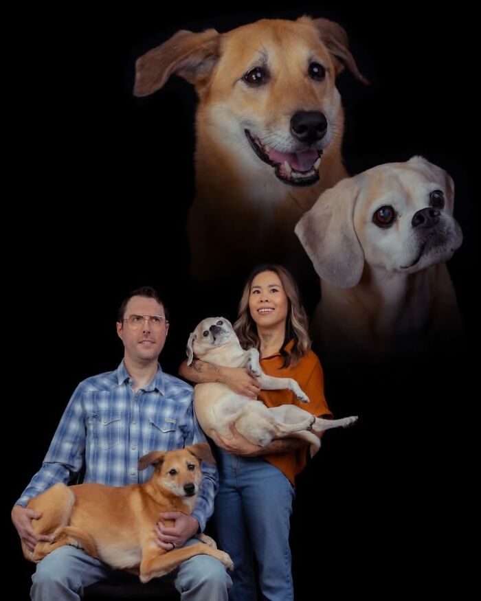 Meet The Pet Photos That Are Weirdly Awesome And Totally Hilarious