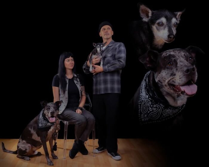 Meet The Pet Photos That Are Weirdly Awesome And Totally Hilarious