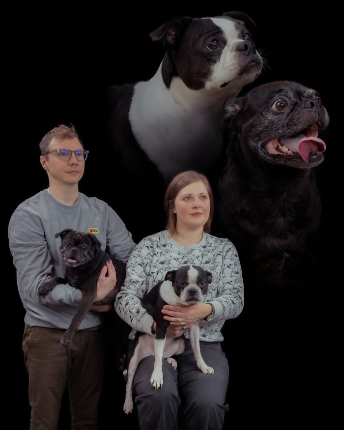 Meet The Pet Photos That Are Weirdly Awesome And Totally Hilarious