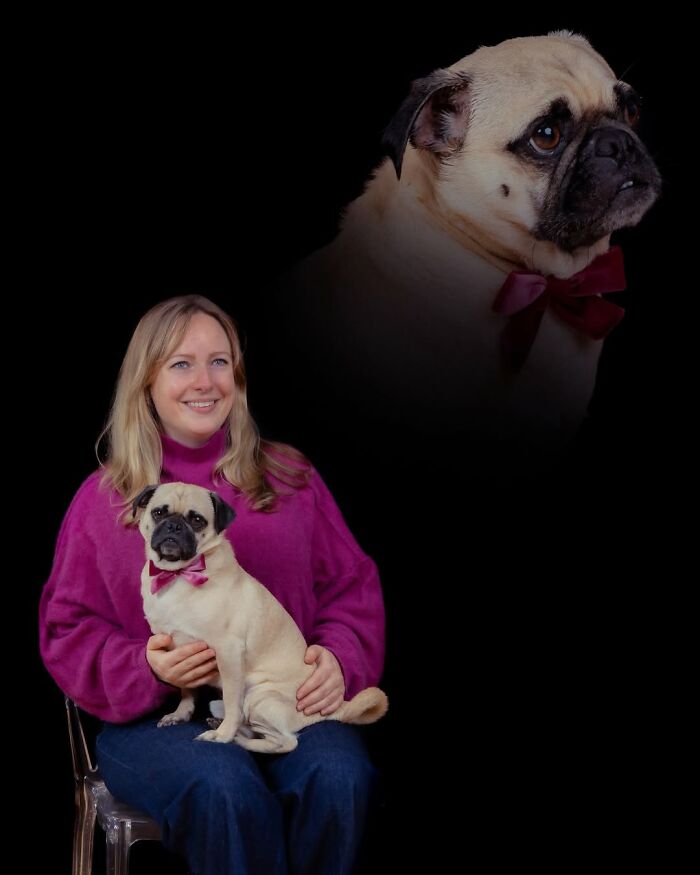 Meet The Pet Photos That Are Weirdly Awesome And Totally Hilarious