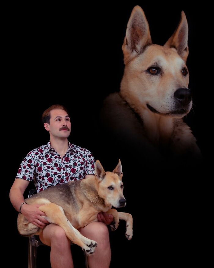 Meet The Pet Photos That Are Weirdly Awesome And Totally Hilarious