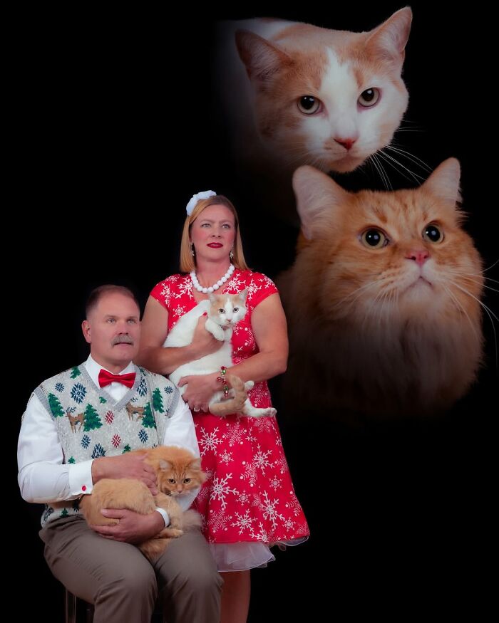 Meet The Pet Photos That Are Weirdly Awesome And Totally Hilarious