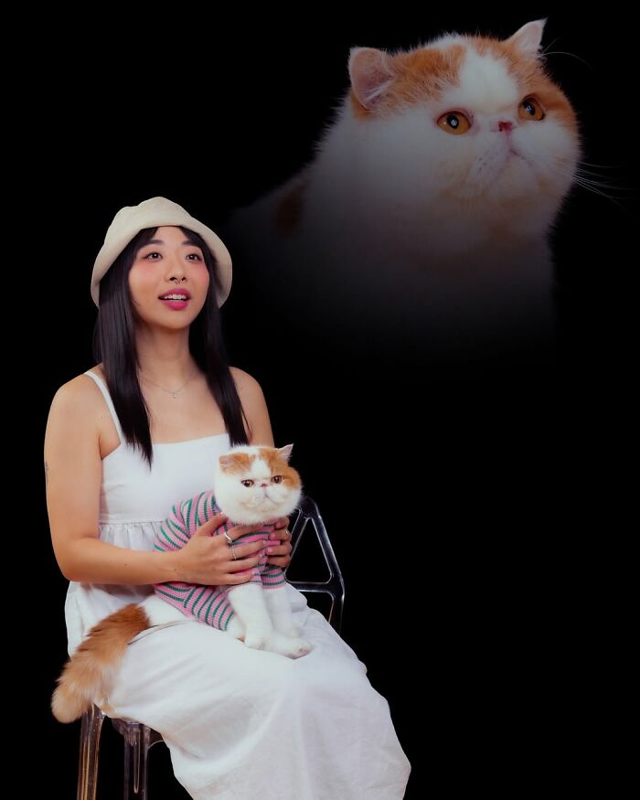 Meet The Pet Photos That Are Weirdly Awesome And Totally Hilarious