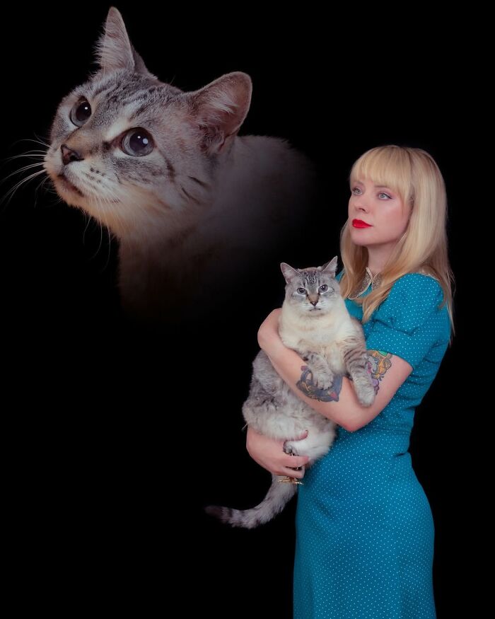 Meet The Pet Photos That Are Weirdly Awesome And Totally Hilarious