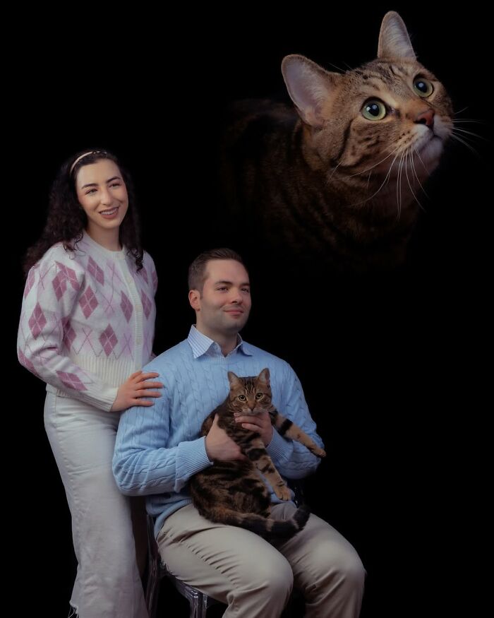 Meet The Pet Photos That Are Weirdly Awesome And Totally Hilarious