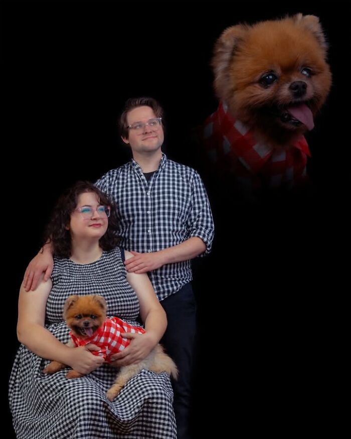 Meet The Pet Photos That Are Weirdly Awesome And Totally Hilarious