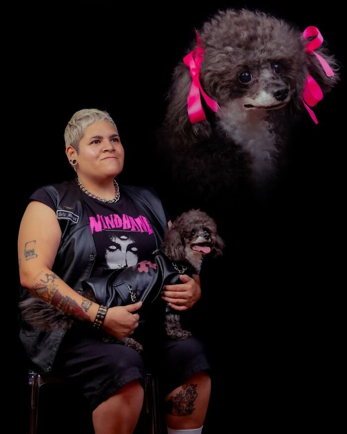 Meet The Pet Photos That Are Weirdly Awesome And Totally Hilarious