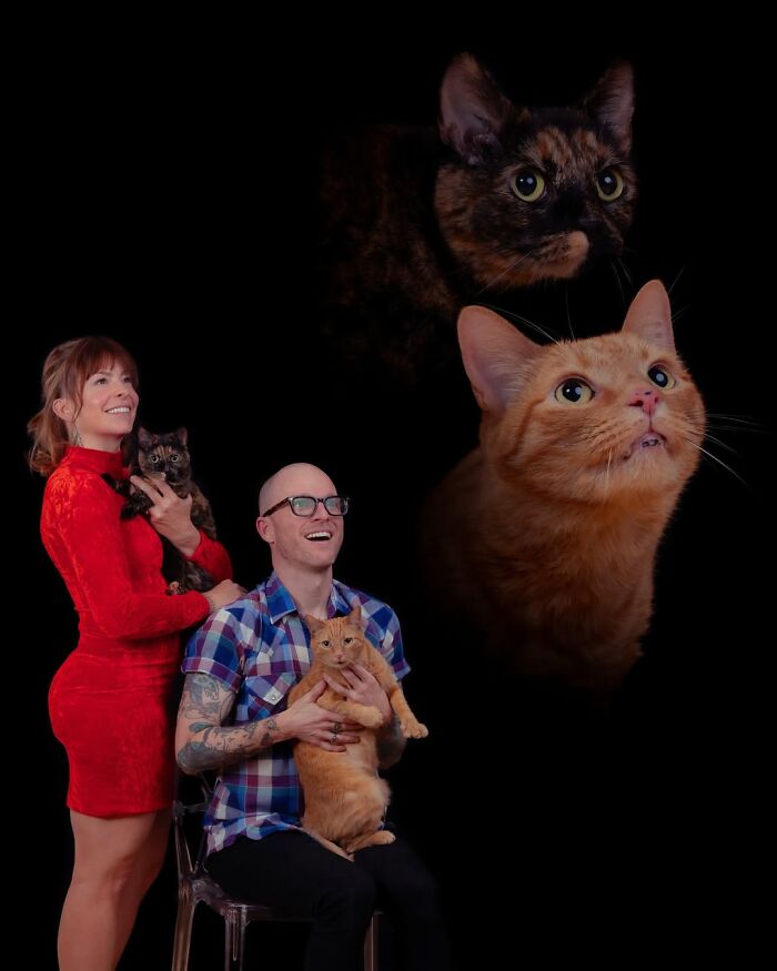 Meet The Pet Photos That Are Weirdly Awesome And Totally Hilarious