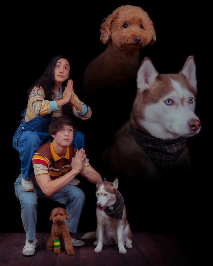 Meet The Pet Photos That Are Weirdly Awesome And Totally Hilarious
