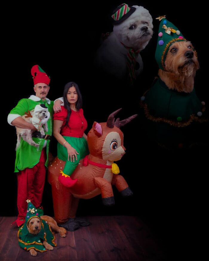 Meet The Pet Photos That Are Weirdly Awesome And Totally Hilarious