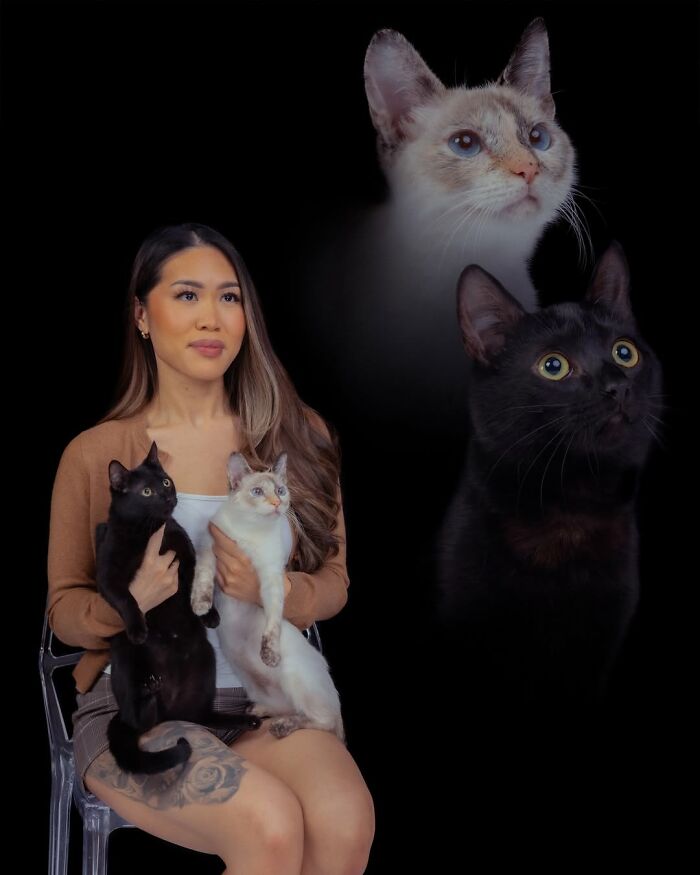 Meet The Pet Photos That Are Weirdly Awesome And Totally Hilarious