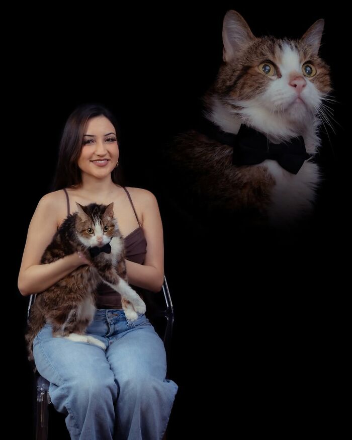 Meet The Pet Photos That Are Weirdly Awesome And Totally Hilarious
