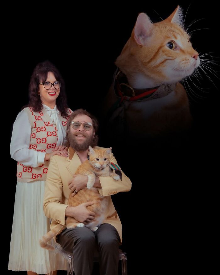 Meet The Pet Photos That Are Weirdly Awesome And Totally Hilarious