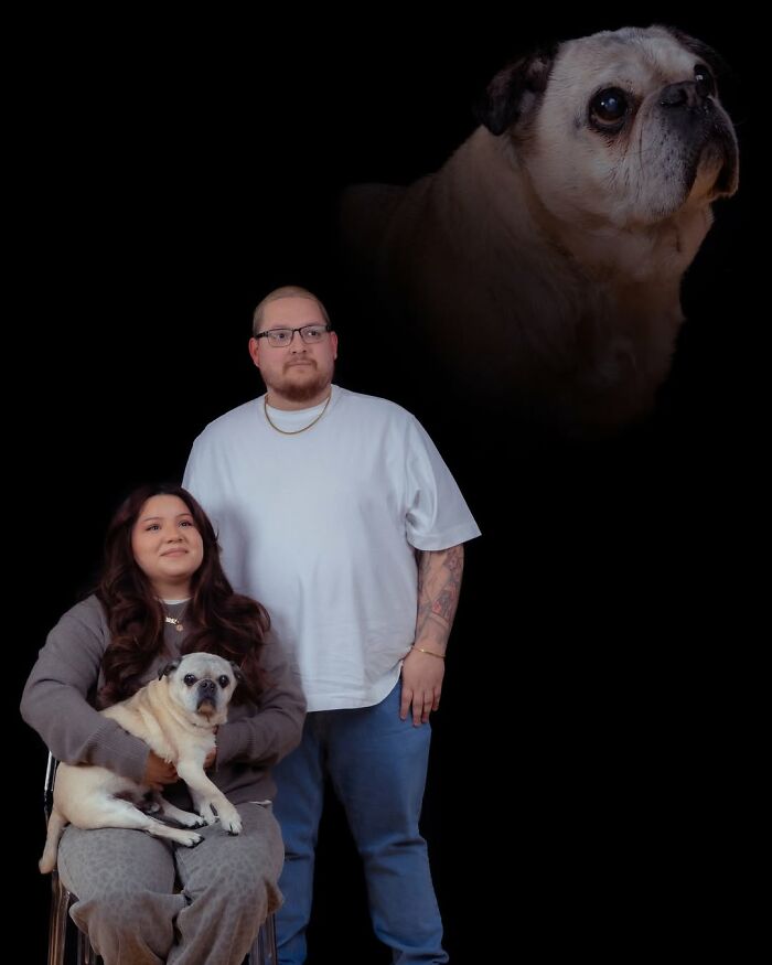 Meet The Pet Photos That Are Weirdly Awesome And Totally Hilarious