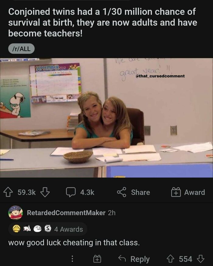 Wait, People Really Burned Each Other THIS Hard in Comments?