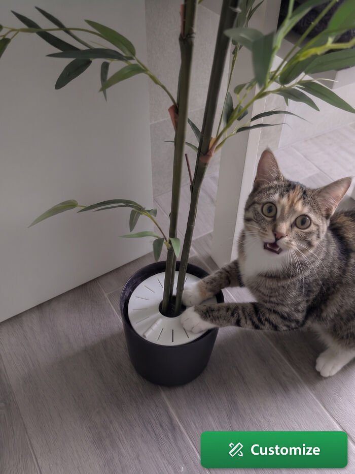 Plant Protector That Looks Like a Sci-Fi Gadget