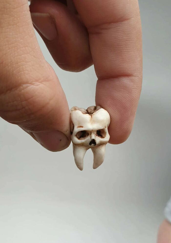 The 50 Coolest Things People Printed With 3D Printers (Wait Till You See #27!)