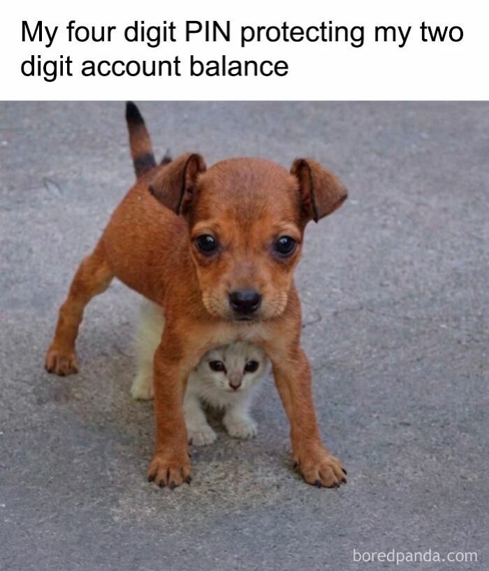 These Hilariously Random Memes Will Totally Brighten Your Day