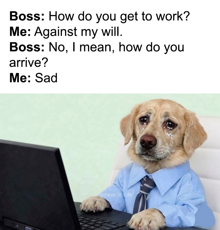 These Hilariously Random Memes Will Totally Brighten Your Day