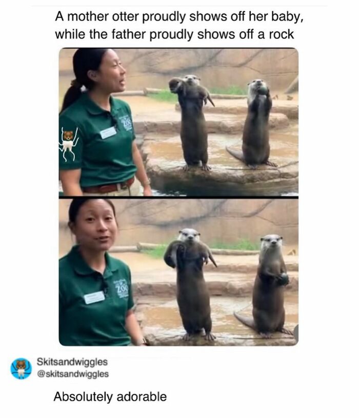 These Hilariously Random Memes Will Totally Brighten Your Day
