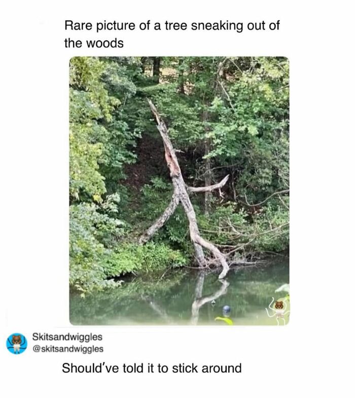 These Hilariously Random Memes Will Totally Brighten Your Day