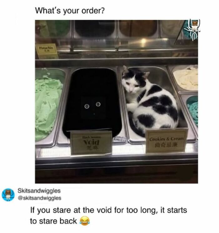 These Hilariously Random Memes Will Totally Brighten Your Day