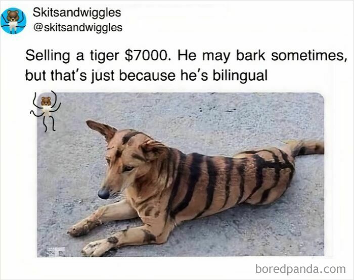 These Hilariously Random Memes Will Totally Brighten Your Day