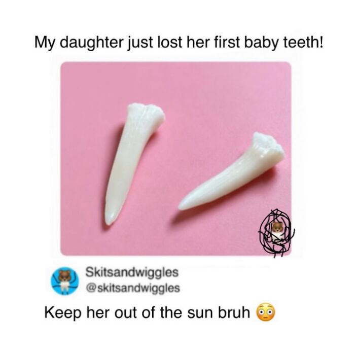 These Hilariously Random Memes Will Totally Brighten Your Day
