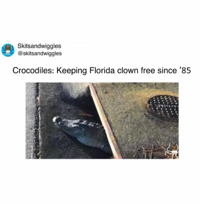 These Hilariously Random Memes Will Totally Brighten Your Day