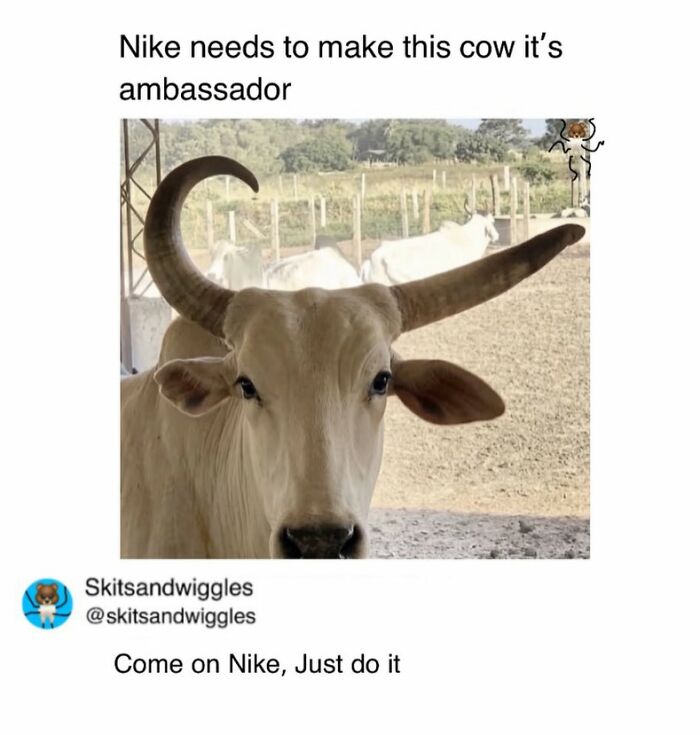 These Hilariously Random Memes Will Totally Brighten Your Day