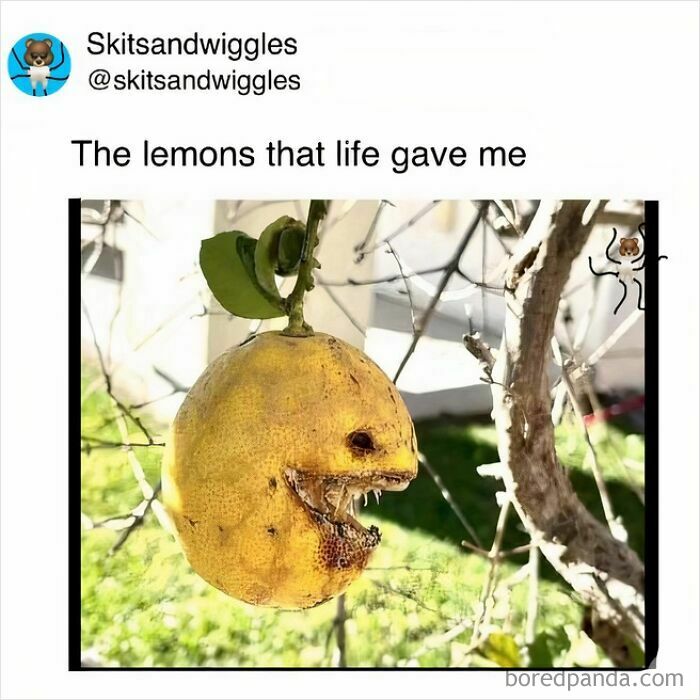 These Hilariously Random Memes Will Totally Brighten Your Day