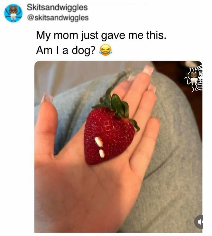 These Hilariously Random Memes Will Totally Brighten Your Day