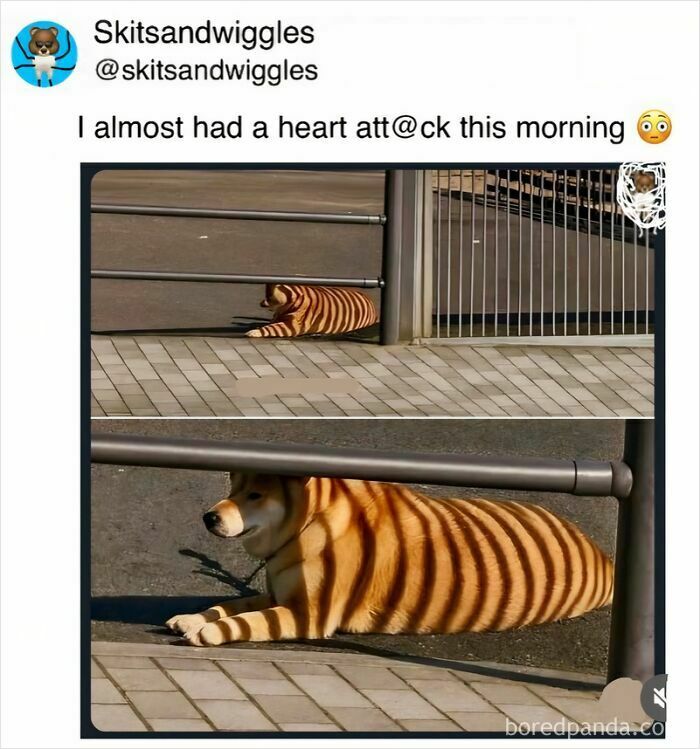 These Hilariously Random Memes Will Totally Brighten Your Day