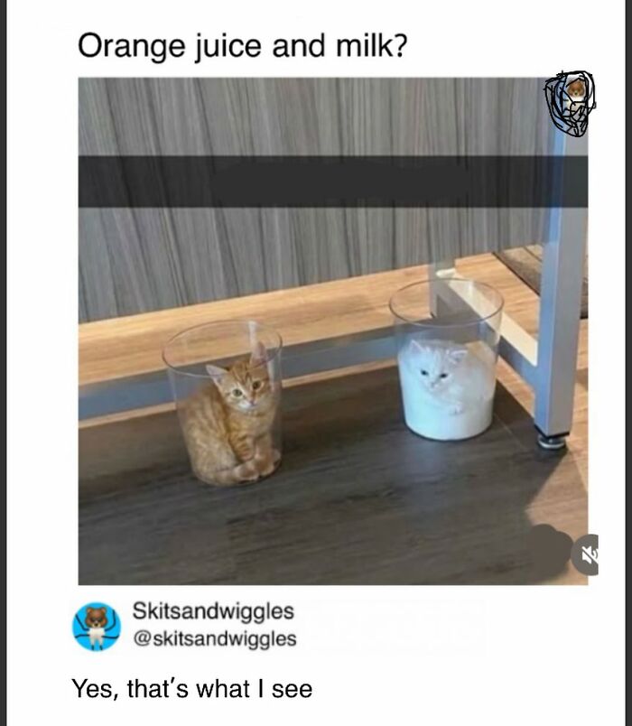 These Hilariously Random Memes Will Totally Brighten Your Day