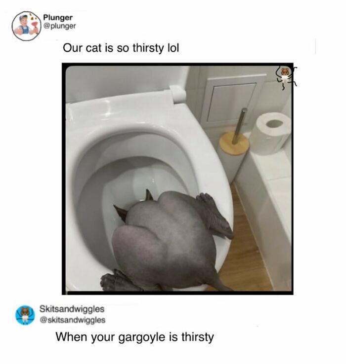 These Hilariously Random Memes Will Totally Brighten Your Day