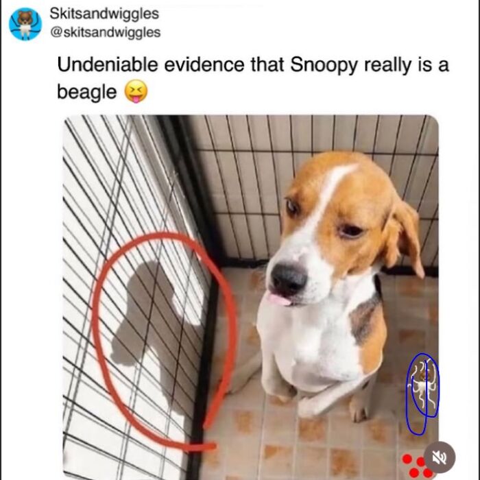 These Hilariously Random Memes Will Totally Brighten Your Day
