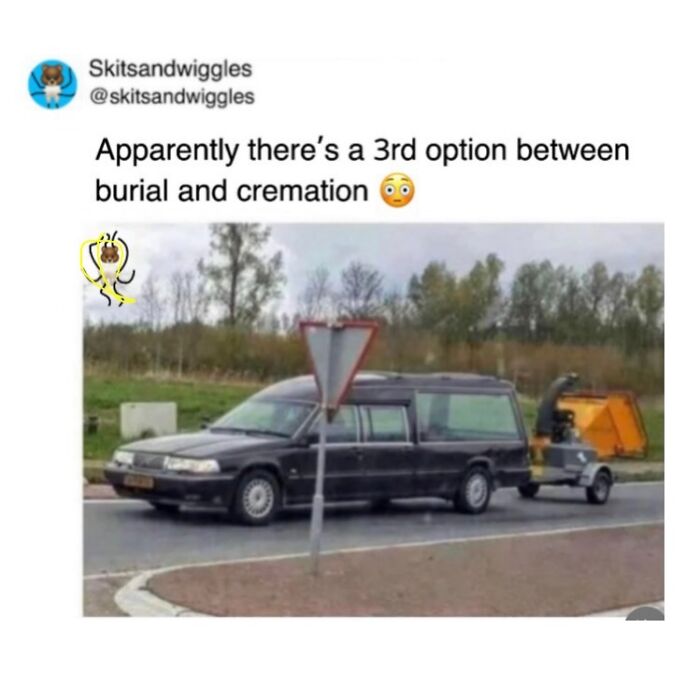 These Hilariously Random Memes Will Totally Brighten Your Day