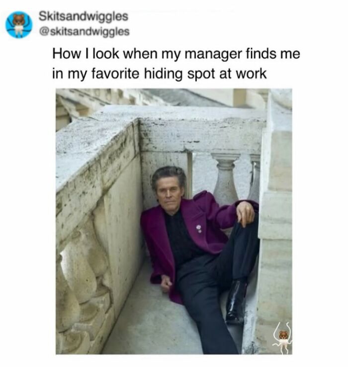 These Hilariously Random Memes Will Totally Brighten Your Day