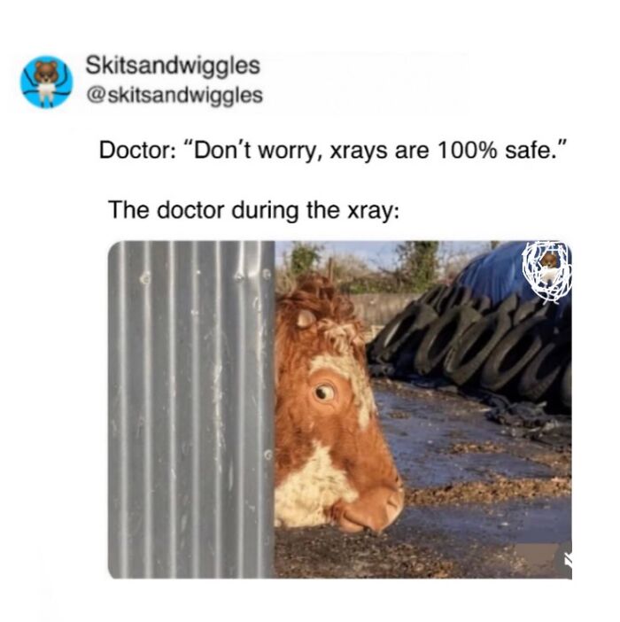 These Hilariously Random Memes Will Totally Brighten Your Day