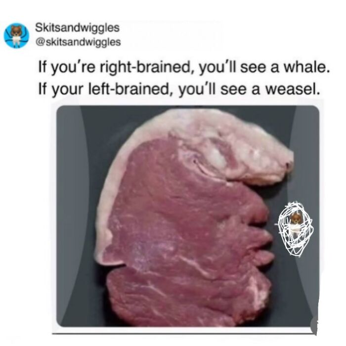 These Hilariously Random Memes Will Totally Brighten Your Day